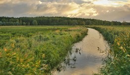 Protecting the environment